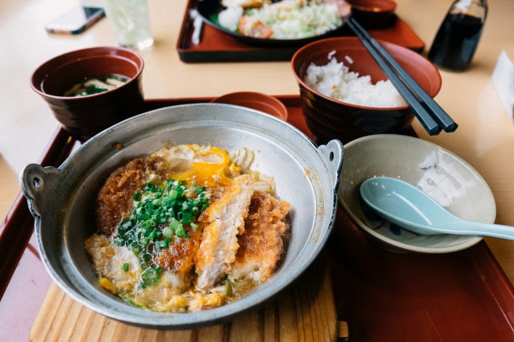 Katsudon Tokyo Day 1 itinerary