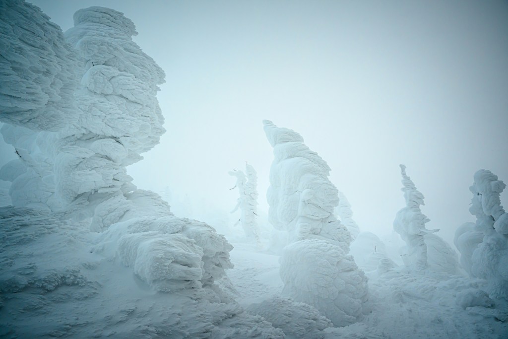 Zao Onsen's "monster trees," known as Juhyo (樹氷), are a stunning natural phenomenon where fir trees on Mount Zao are encased in heavy snow and ice, forming surreal, monstrous shapes due to unique winter weather conditions involving Siberian winds and Sea of Japan moisture