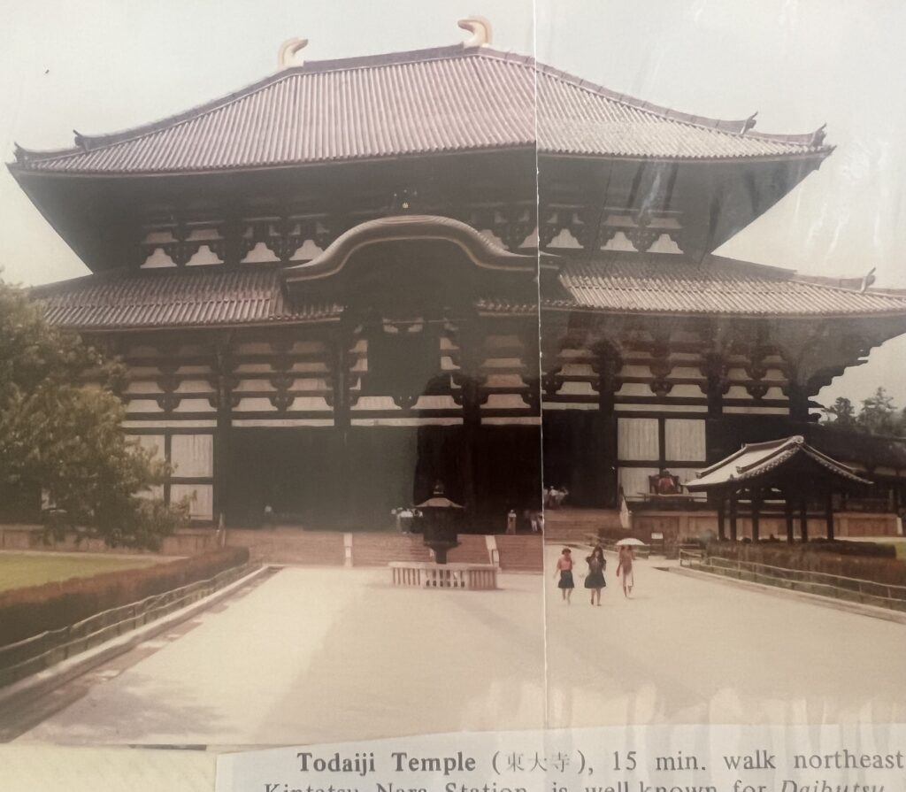 Sacred sika deer in Nara Park on a day trip from Kyoto Japan