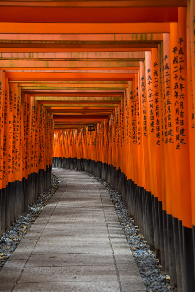 A winding tunnel of vibrant vermillion torii gates stretching up the forested mountainside at Fushimi Inari-taisha in Kyoto, Japan